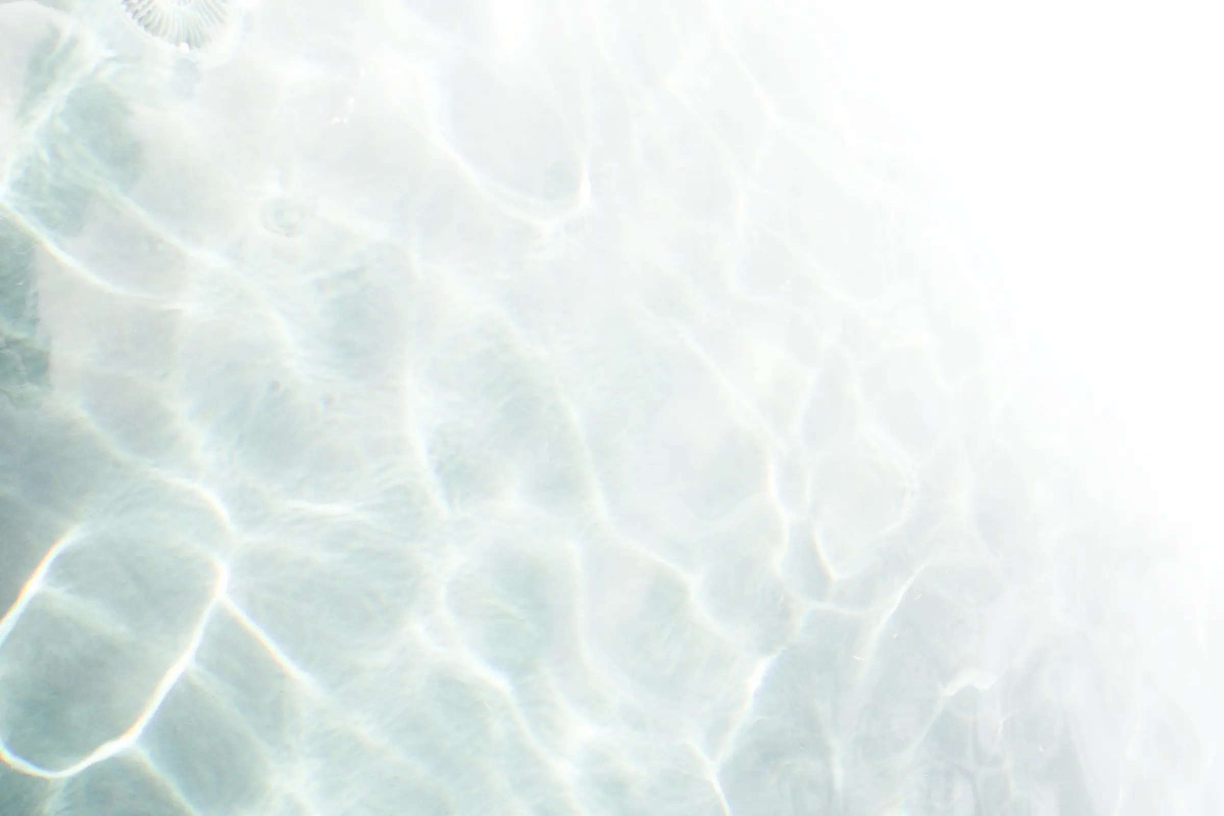 wave